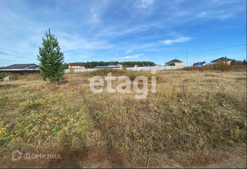 земля р-н Киреевский Новоселебное фото 1