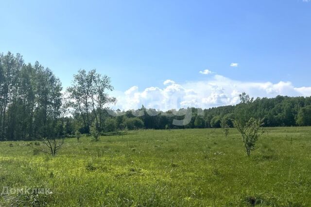 Тула городской округ, Волынь фото