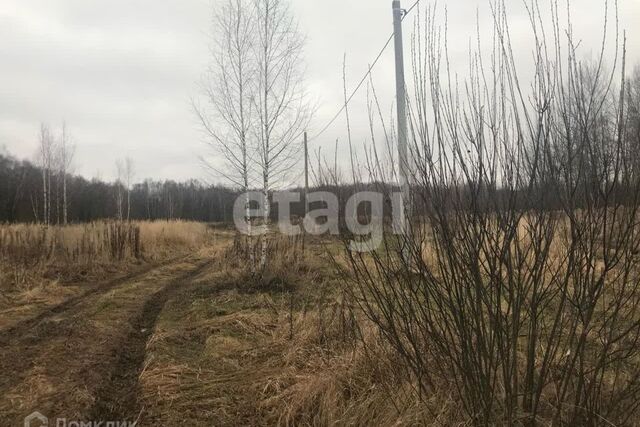 Тула городской округ, Ново-Струково фото