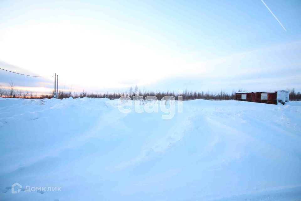 земля г Новый Уренгой микрорайон Лимбяяха Новый Уренгой городской округ, Зелёная фото 4