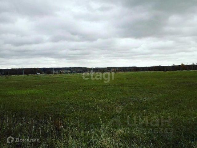 земля р-н Новомосковский г Новомосковск муниципальное образование Новомосковск, Зелинского фото 2