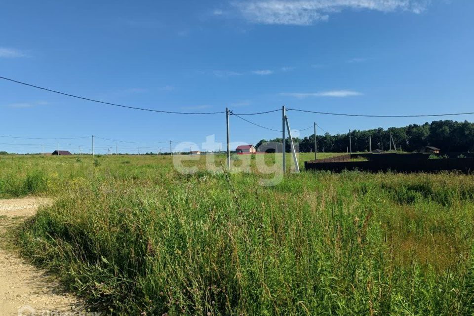 земля Тула городской округ, Медвенка фото 2