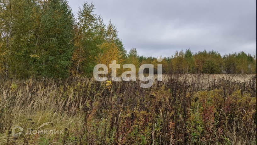 земля р-н Киреевский Новоселебное фото 3