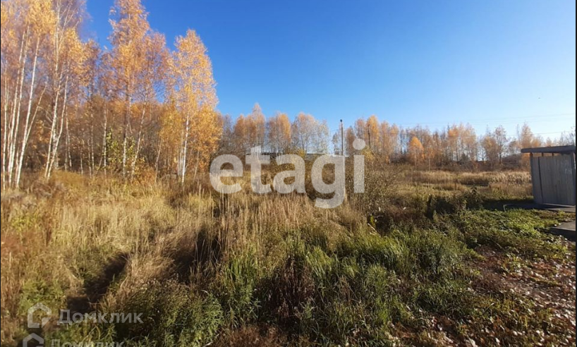 земля р-н Киреевский Новоселебное фото 4