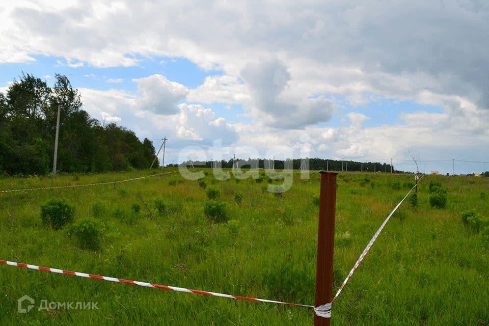 земля р-н Киреевский Новоселебное фото 4