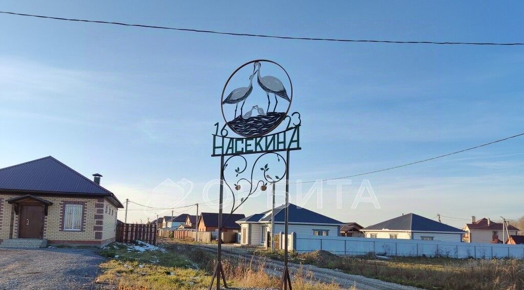 земля р-н Тюменский д Насекина ул Центральная фото 2