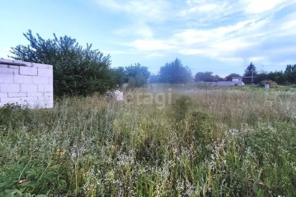 земля г Белгород СТ нка, Белгородский район фото 10