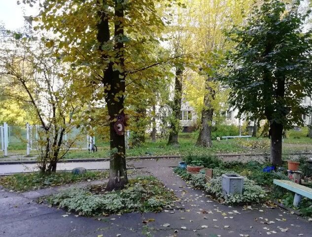 квартира дом 10 Сосновоборский городской округ фото