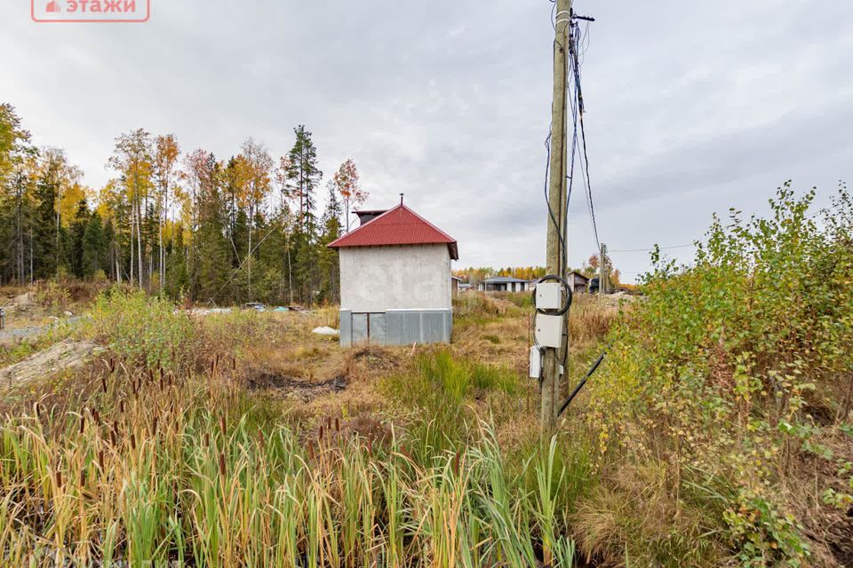 земля г Петрозаводск Древлянка Петрозаводский городской округ, Рябиновая фото 8