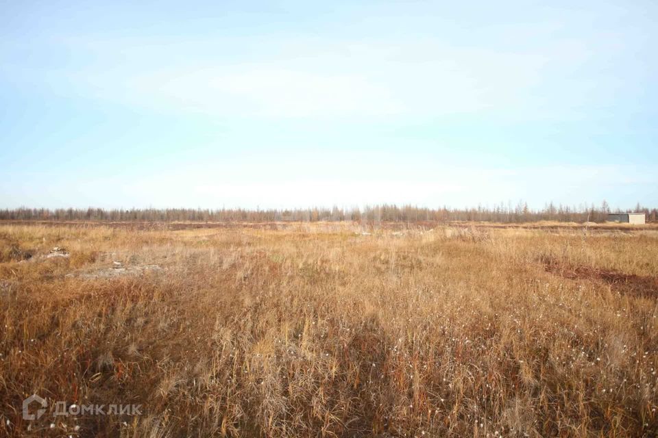 земля г Новый Уренгой Новый Уренгой городской округ, ДПК Каскад-2 фото 6