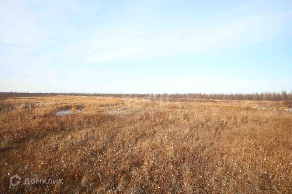 земля г Новый Уренгой Новый Уренгой городской округ, ДПК Каскад-2 фото 7