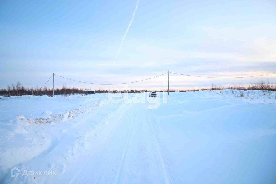 земля г Новый Уренгой микрорайон Лимбяяха Новый Уренгой городской округ, Зелёная фото 7