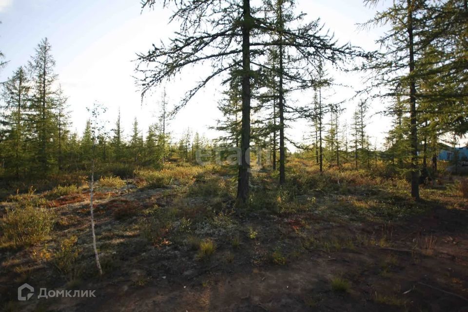 земля г Новый Уренгой Новый Уренгой городской округ, ДНТ Титан фото 7