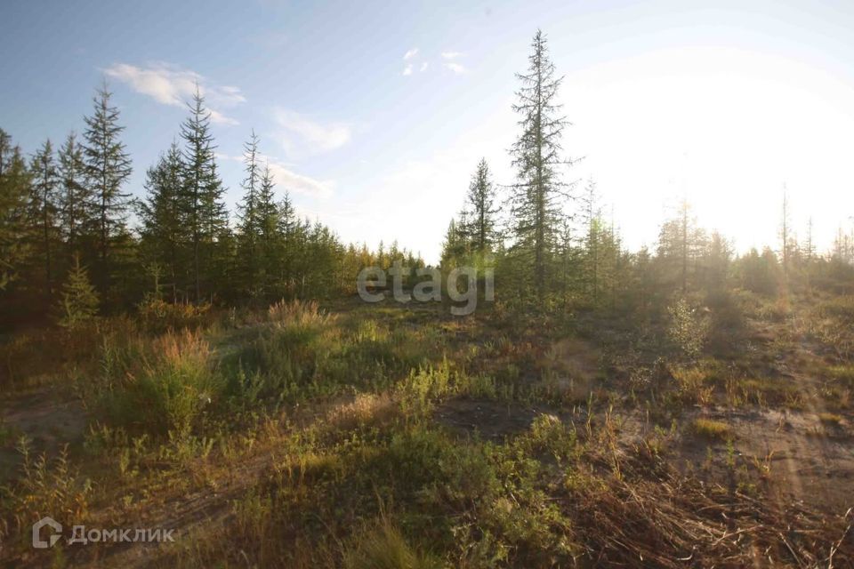 земля г Новый Уренгой Новый Уренгой городской округ, ДНТ Титан фото 9