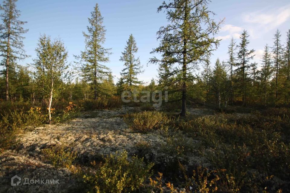 земля г Новый Уренгой Новый Уренгой городской округ, ДНТ Титан фото 10