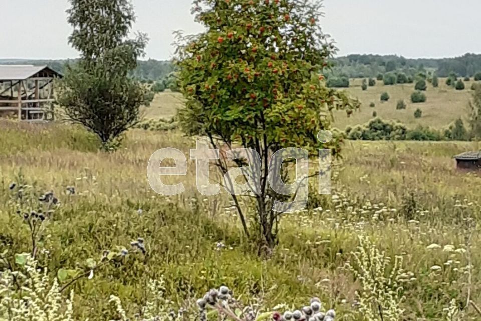 земля р-н Козельский Торбеево фото 10