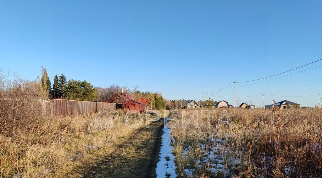 земля р-н Тюменский д Насекина ул Центральная фото 6