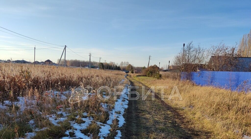 земля р-н Тюменский д Насекина ул Центральная фото 11