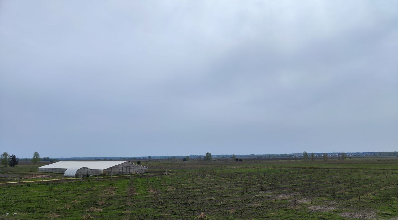 земля городской округ Орехово-Зуевский д Красная Дубрава фото 1