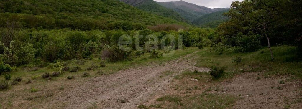 земля г Судак КСП Долина роз фото 3