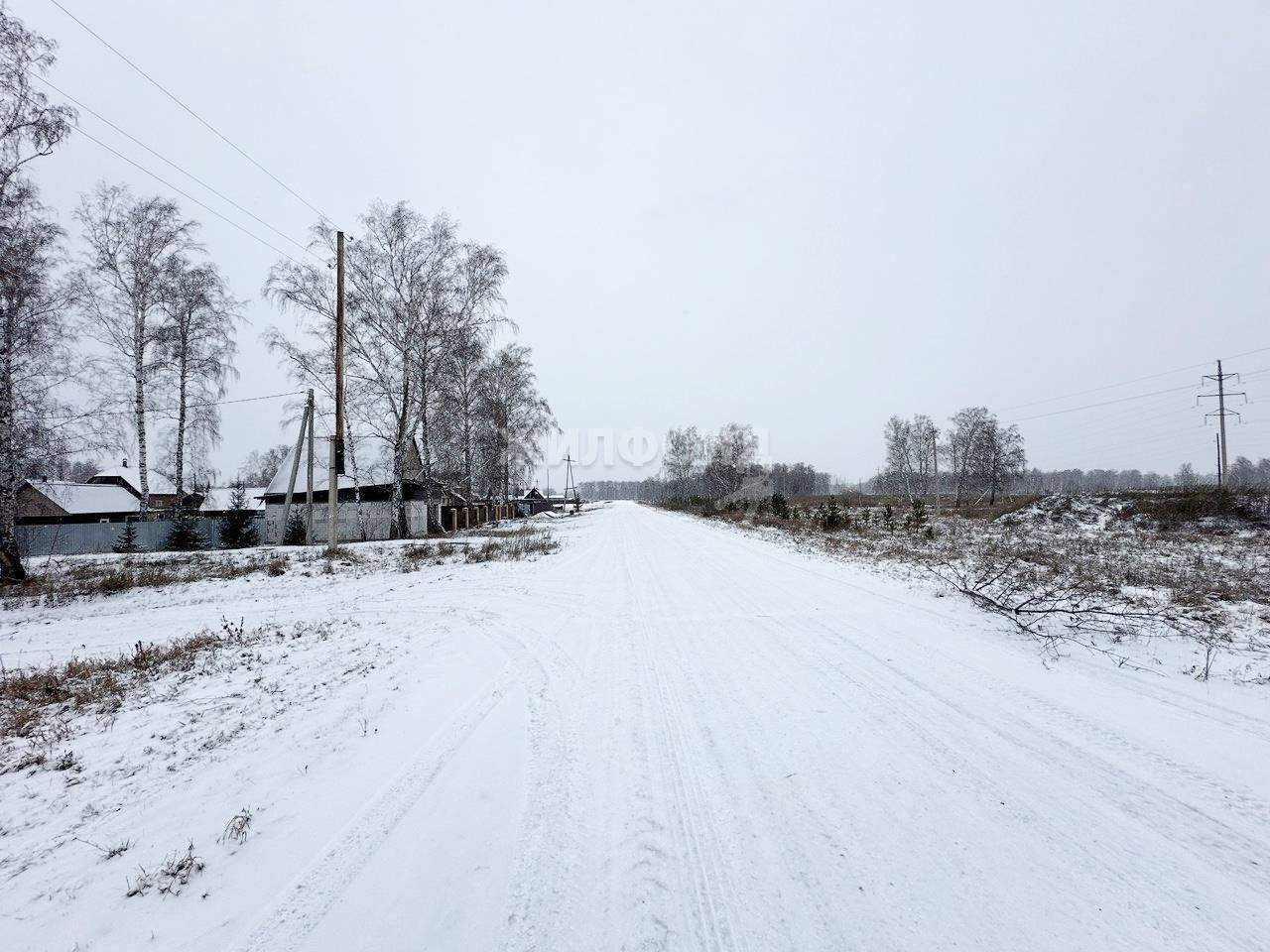 земля р-н Новосибирский с Боровое ул Рабочая фото 1