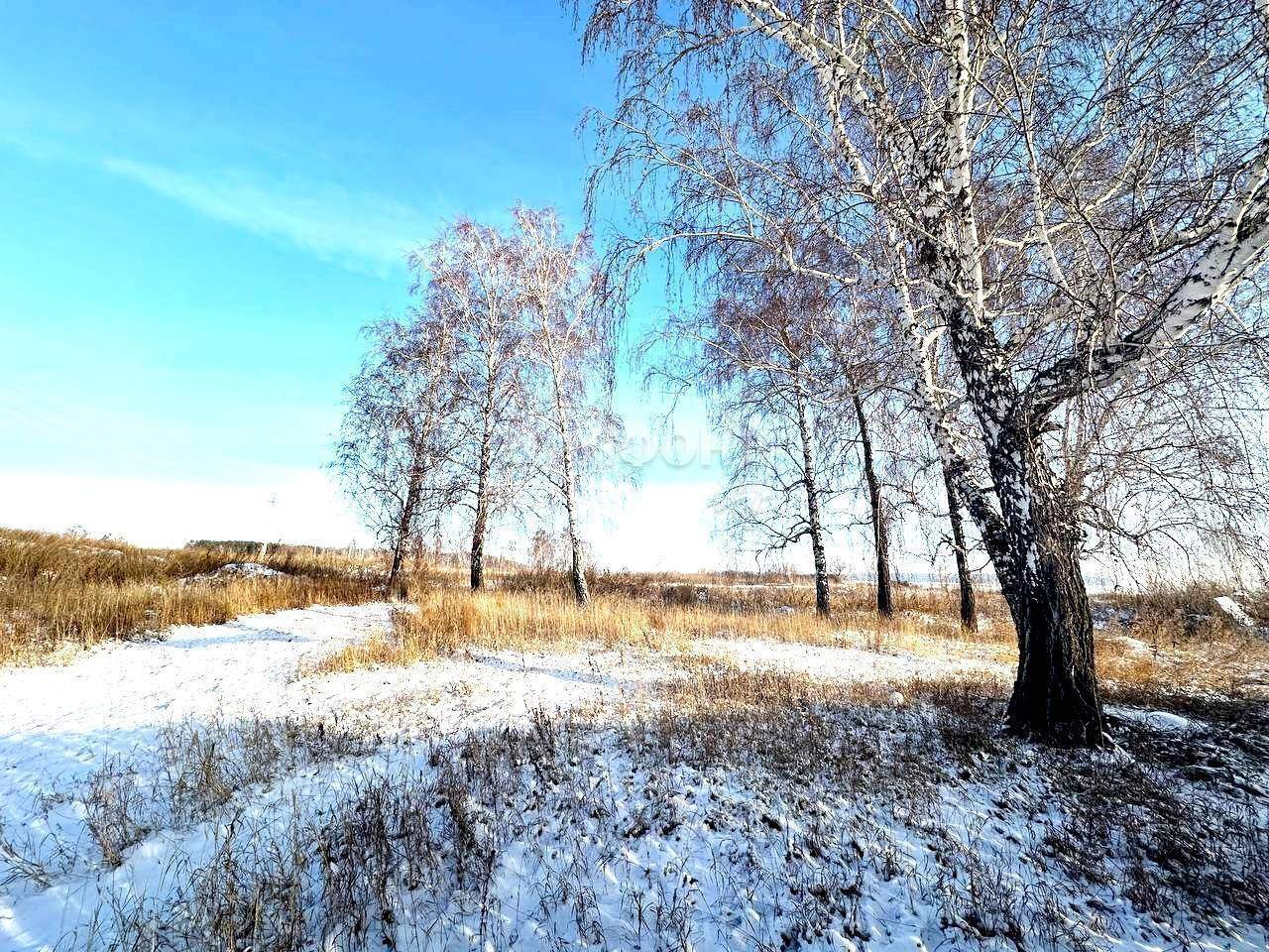 земля р-н Новосибирский с Боровое фото 1