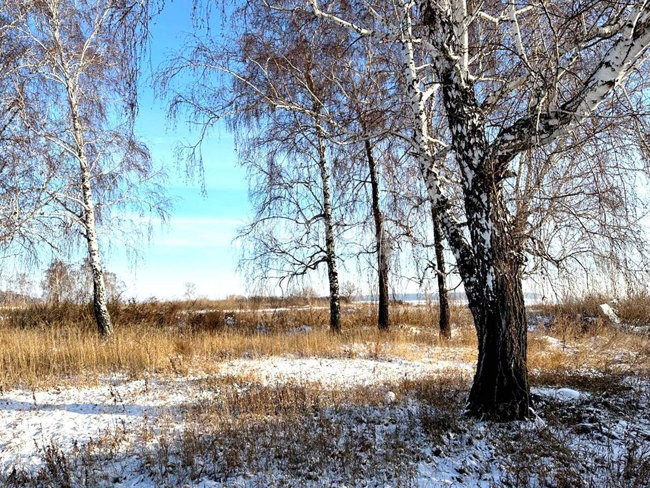 земля р-н Новосибирский с Боровое фото 2