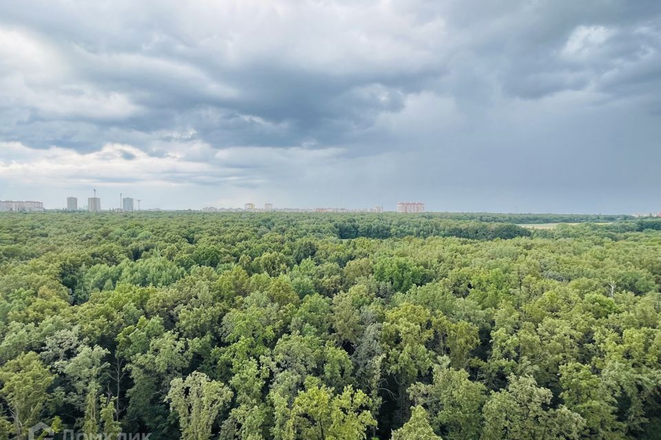 квартира г Воронеж р-н Центральный б-р Олимпийский 11 городской округ Воронеж фото 10