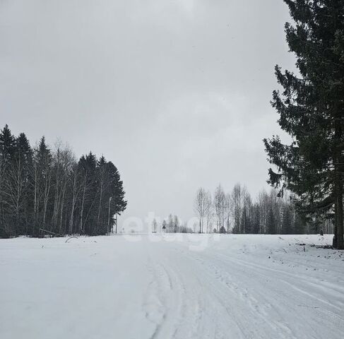 земля д Залесная фото