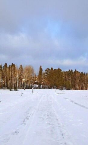 земля д Залесная фото