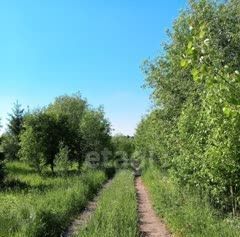 земля г Добрянка д Городище Междуречье кп фото 3