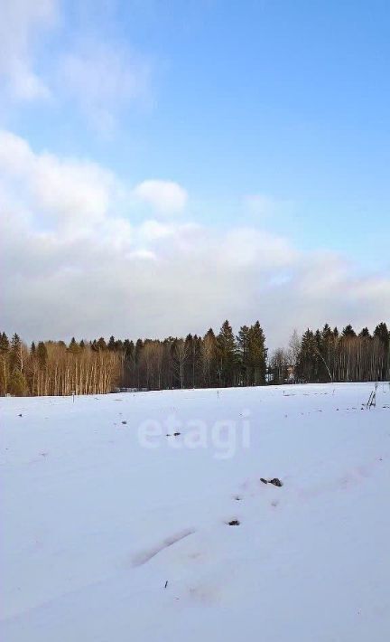 земля г Добрянка д Залесная фото 3