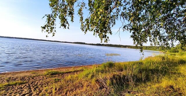 р-н Пряжинский пгт Пряжа 86К-264 фото