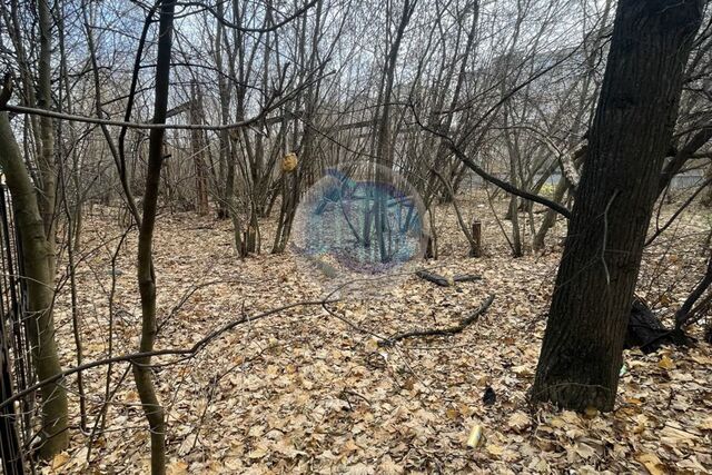 земля м-н, Домодедово городской округ, г Зеленоград, Центральный фото