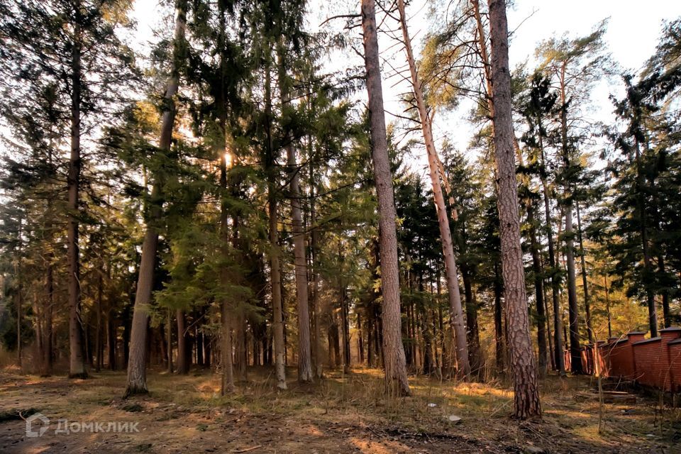 земля городской округ Красногорск ДНП Вымпел фото 1