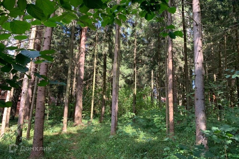 земля городской округ Одинцовский пос. Горки-2 фото 1