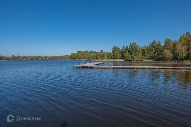 пос. Ольшаники фото