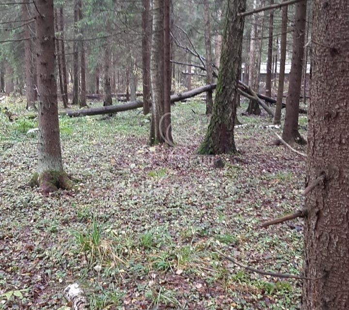 земля городской округ Наро-Фоминский фото 2