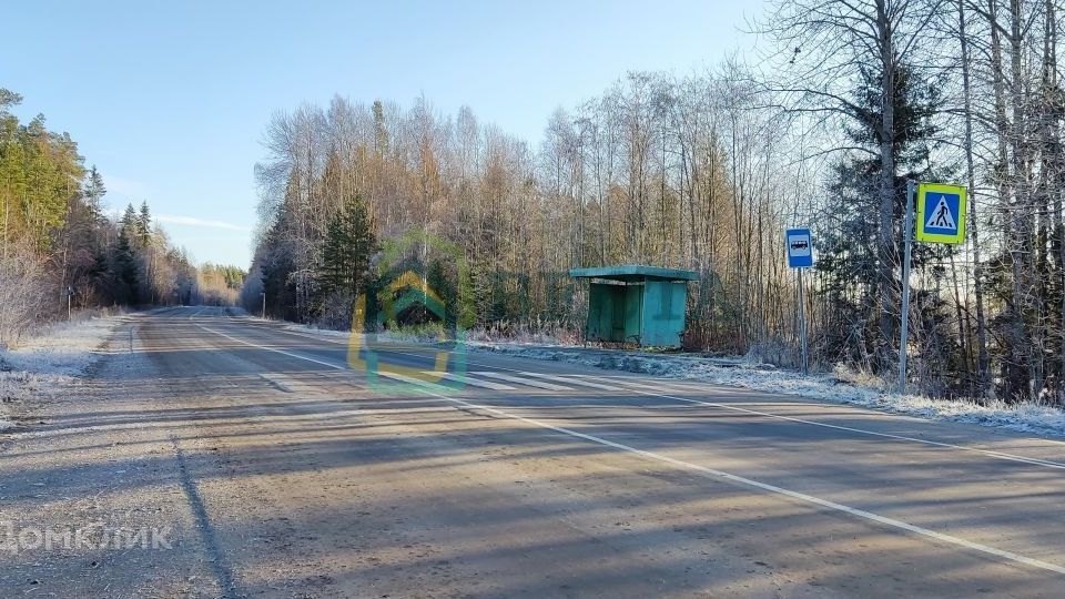 земля р-н Приозерский д. Хвойное фото 4