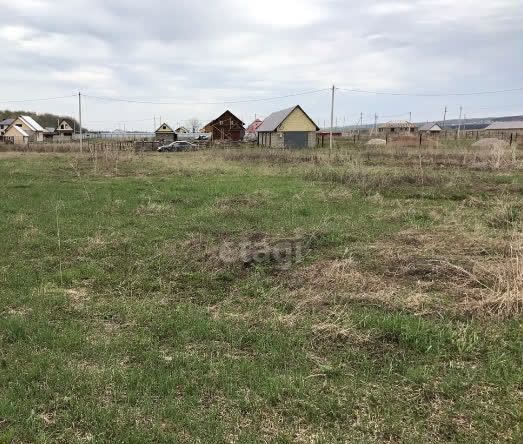 д Нижнеакбашево Шариповский сельсовет, Кушнаренково фото