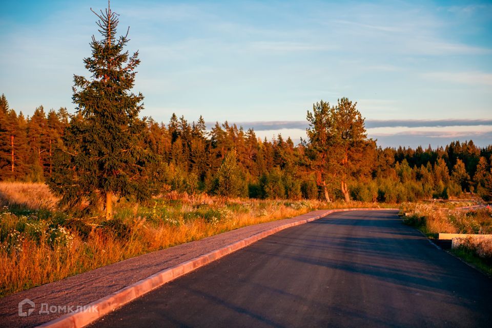 земля р-н Выборгский Линтулово фото 7