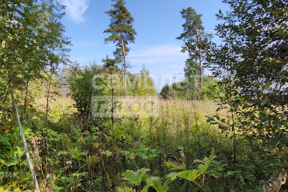 земля городской округ Рузский фото 7