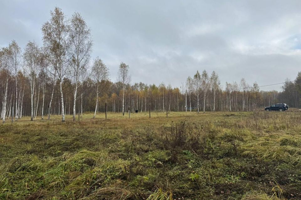 земля городской округ Чехов д Алфёрово ул Грушевая 20 фото 7