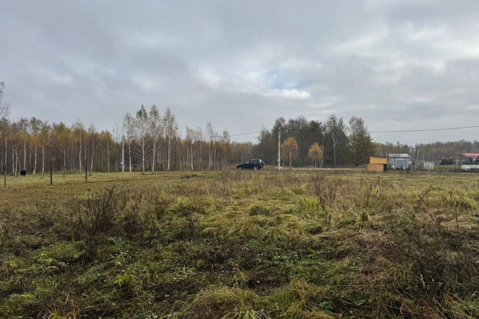 земля городской округ Чехов д Алфёрово ул Грушевая 20 фото 8