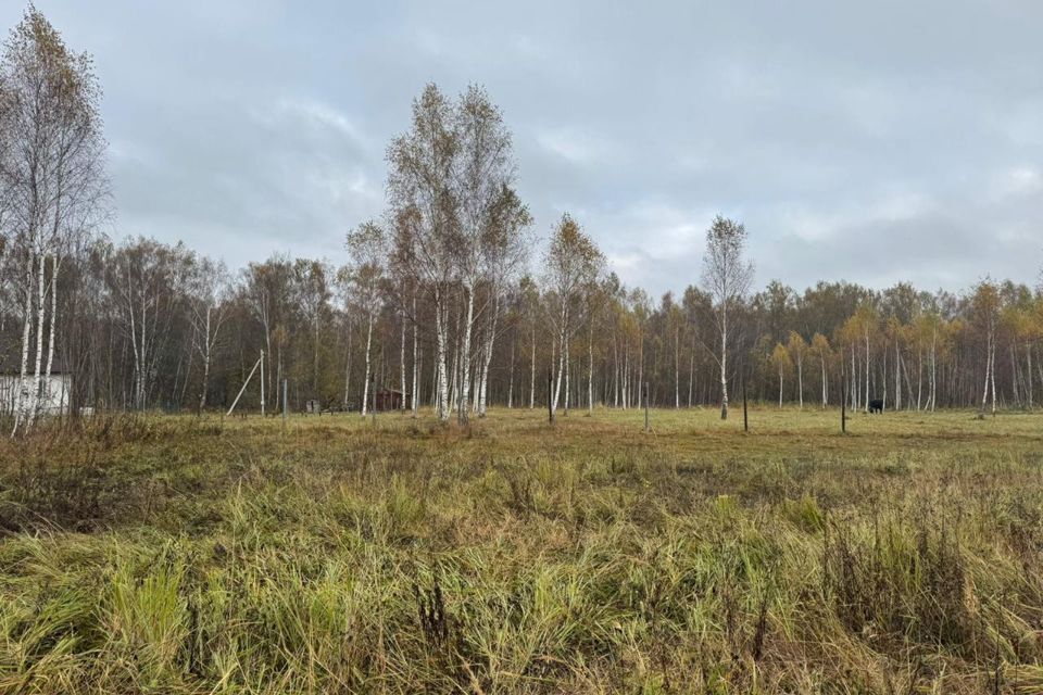 земля городской округ Чехов д Алфёрово ул Грушевая 20 фото 10