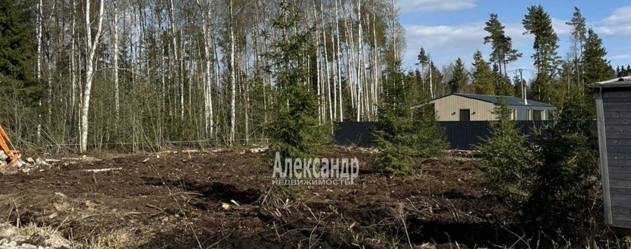 земля р-н Тихвинский снт Заречное Сертоловское городское поселение, ул. Аллейная, 170, Всеволожский район фото 5