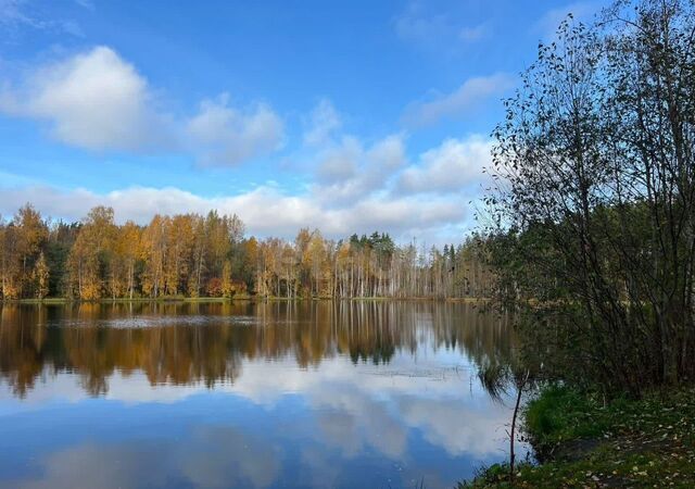 земля п Саперное Трасса Сортавала, 72 км, Громовское сельское поселение, пос. при железнодорожной станции Громово, Снежная ул фото