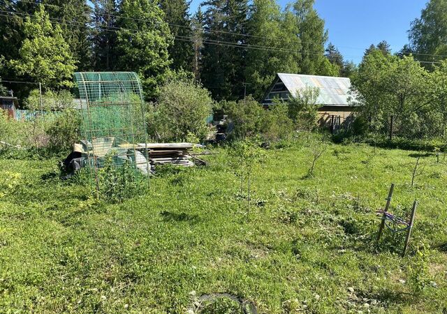 Киевское шоссе, 105 км, Толмачёвское городское поселение, Толмачево фото