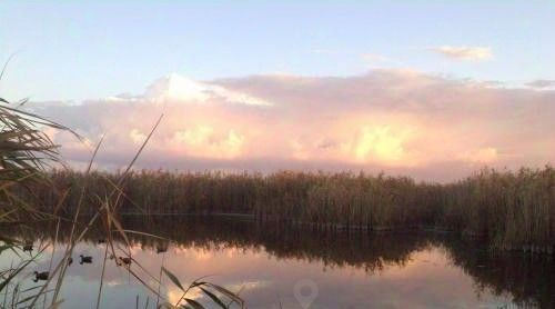 комната р-н Приморско-Ахтарский г Приморско-Ахтарск ул Бульварная 84 фото 31