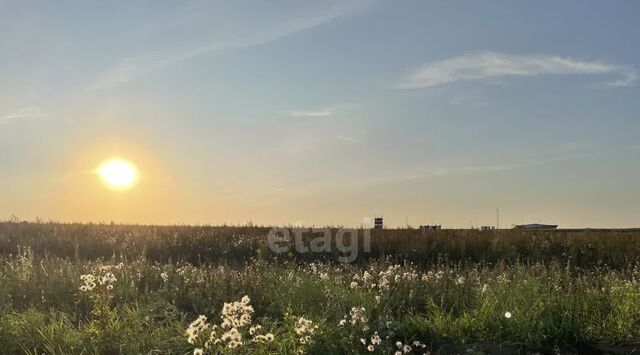 земля с Куликовка фото